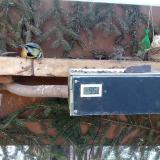 photo 2021-02-13 08-28-04