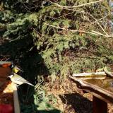 photo 2021-11-12 13-21-37