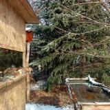 photo 2022-01-09 11-43-47