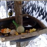 photo 2019-01-22 08-07-43