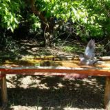 photo 2021-05-10 10-31-03