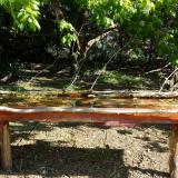 photo 2021-05-05 09-12-37