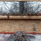 photo 2022-01-20 12-21-12