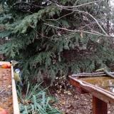 photo 2021-11-13 15-12-34