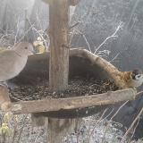 photo 2019-12-30 07-57-31