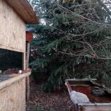 photo 2022-01-01 07-42-24