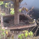 photo 2019-12-12 13-04-31