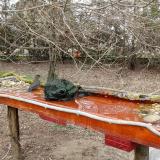 photo 2021-03-18 13-09-26