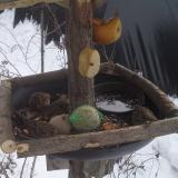 photo 2019-01-27 12-15-34