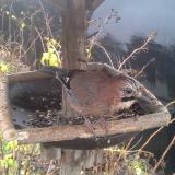 photo 2019-12-23 11-52-41