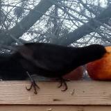 photo 2022-01-20 15-24-10 rigo