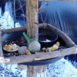 photo 2019-01-21 13-01-04