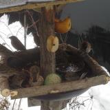 photo 2019-01-28 11-47-41