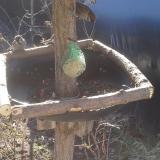 photo 2019-02-12 09-36-00