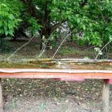 photo 2021-05-13 13-46-11