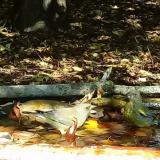 photo 2021-10-02 11-48-28 zoldike