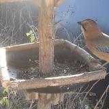 photo 2019-12-26 10-10-21