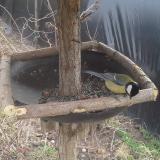 photo 2019-03-13 12-37-48