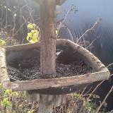 photo 2019-12-22 09-36-47