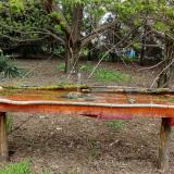 photo 2021-04-18 10-31-32