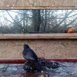 photo 2022-01-23 16-20-40