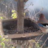 photo 2019-12-22 11-42-11