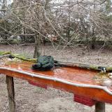 photo 2021-03-24 14-55-08