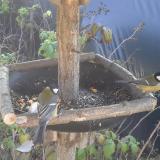 photo 2019-12-08 11-32-02