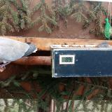 photo 2021-02-27 08-45-43