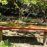 photo 2021-04-26 10-16-42