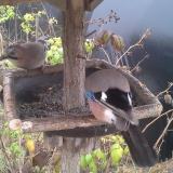 photo 2019-12-12 12-58-01