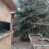 photo 2022-01-08 13-49-59