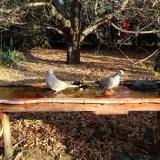 photo 2021-10-28 09-16-05