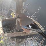 photo 2019-12-28 07-48-59