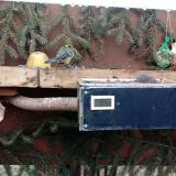 photo 2021-02-08 11-40-24