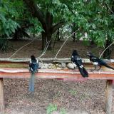 photo 2021-07-14 13-49-56