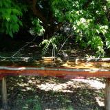 photo 2021-05-21 10-27-59