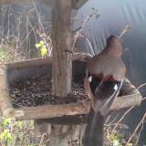 photo 2019-12-25 12-16-26