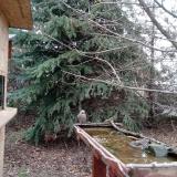 photo 2021-12-12 09-52-42