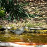 photo 2021-04-21 14-06-32 poszata