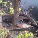 photo 2019-12-14 11-30-59