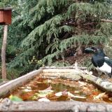 photo 2023-10-20 14-09-07