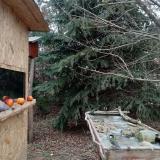 photo 2021-12-23 13-11-32