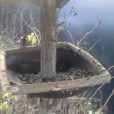 photo 2019-12-24 08-24-50