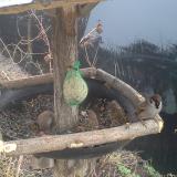 photo 2019-02-11 08-40-49