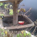 photo 2019-12-06 10-35-35