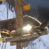 photo 2019-01-27 10-08-33