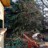 photo 2021-11-17 08-05-24