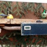 photo 2021-02-03 13-56-56