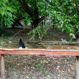 photo 2021-05-24 11-26-21